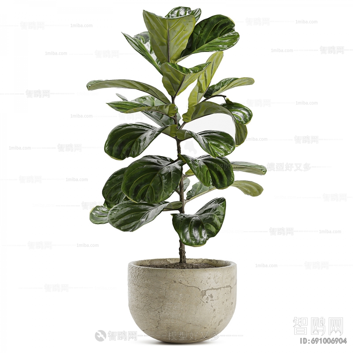 Modern Ground Green Plant Potted Plants