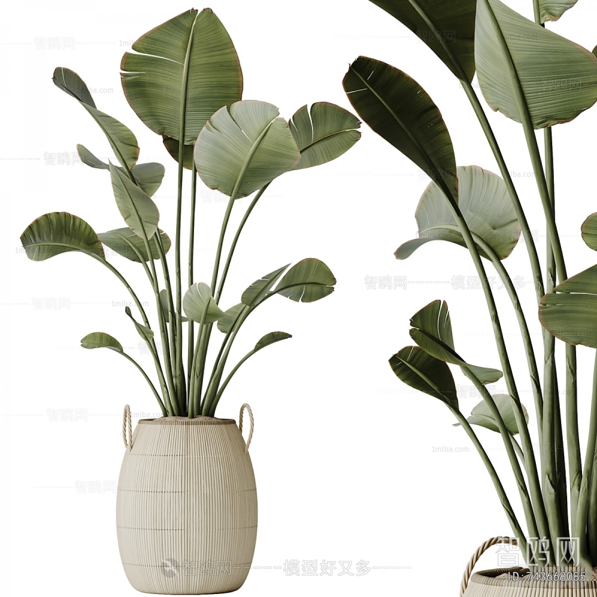Modern Ground Green Plant Potted Plants