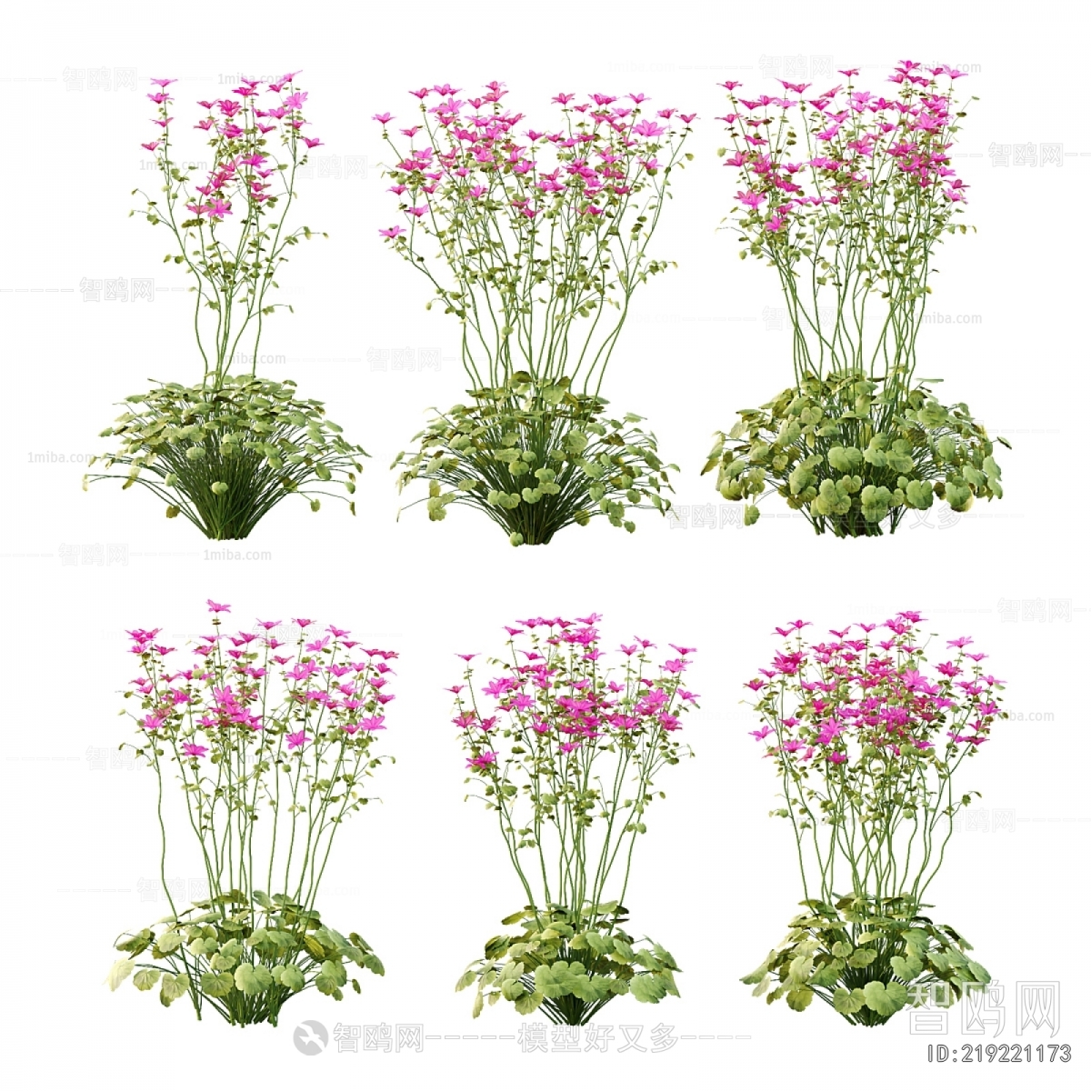 Modern Flowers And Grass