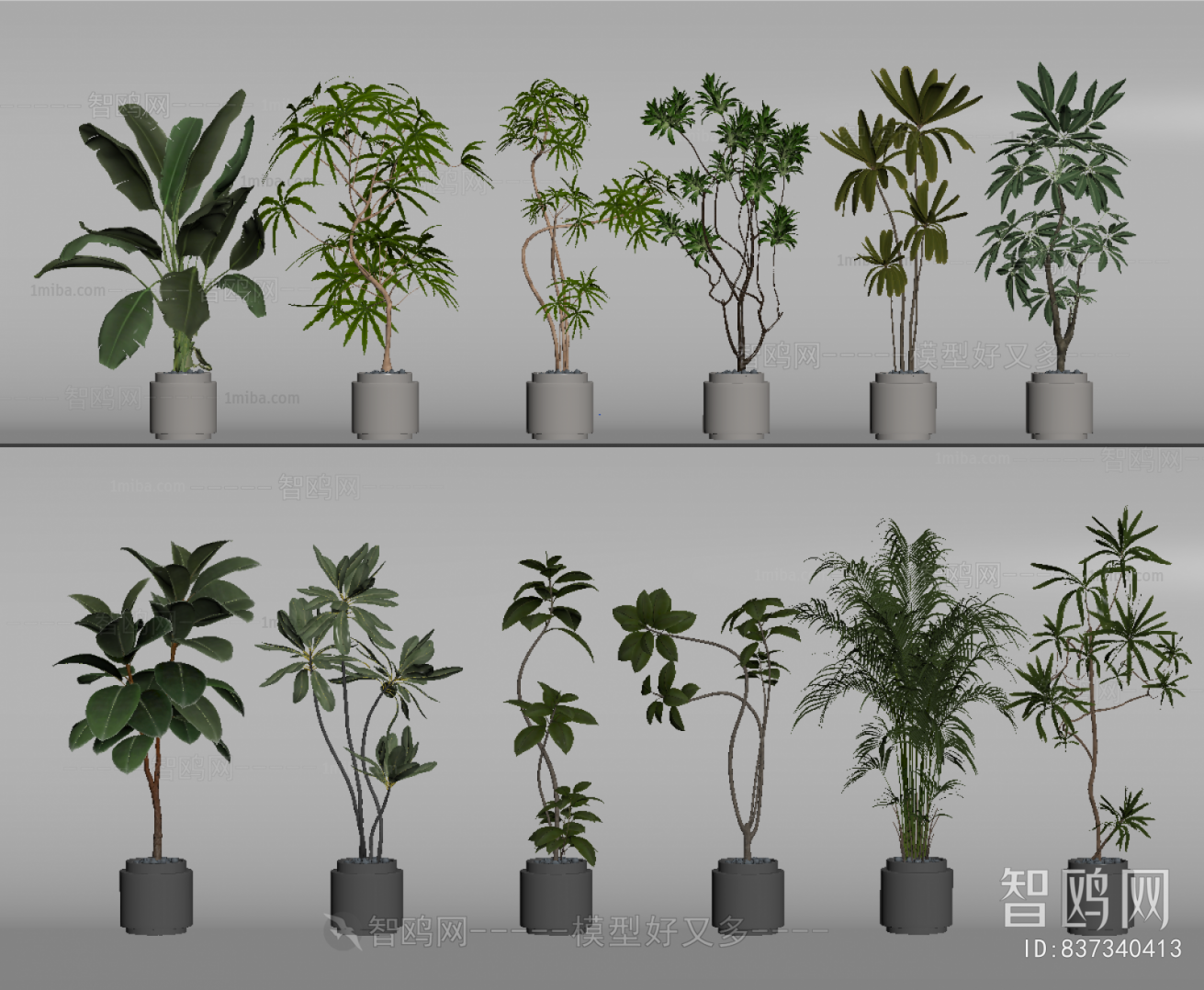 Modern Ground Green Plant Potted Plants
