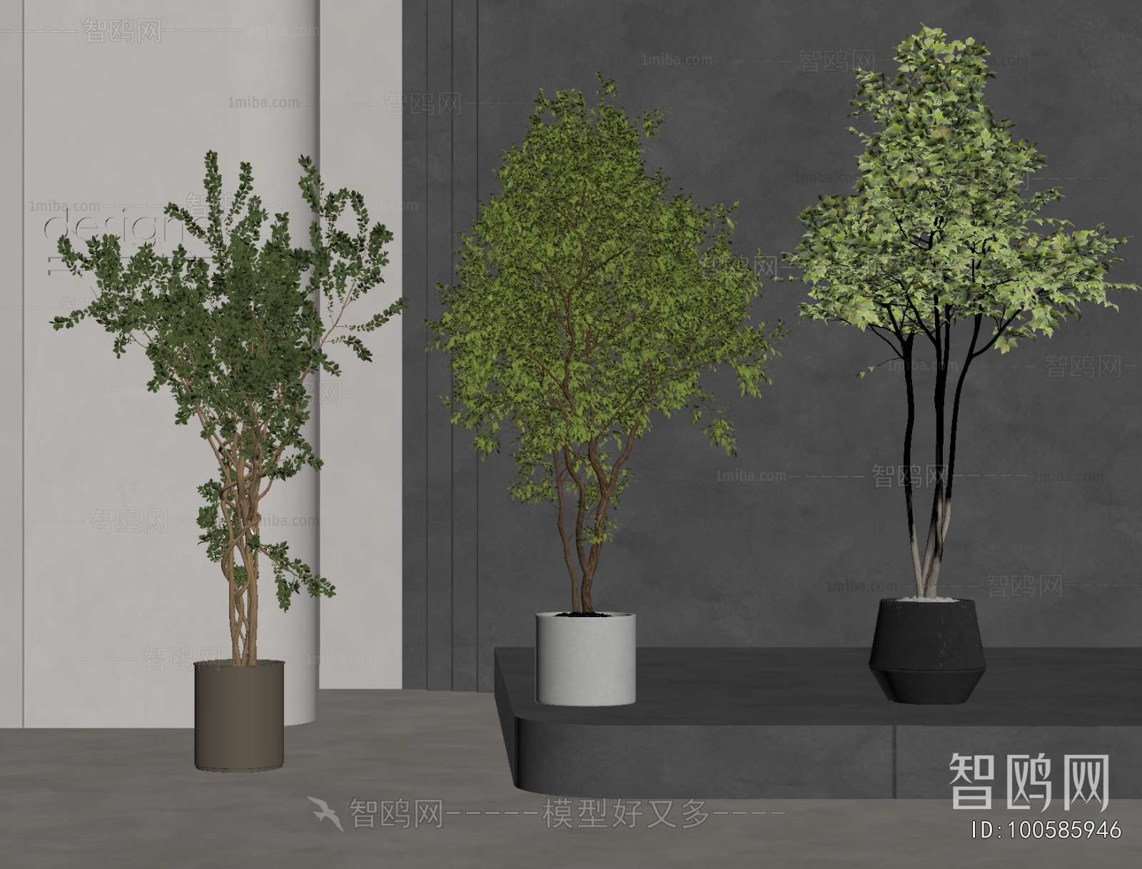 Modern Ground Green Plant Potted Plants