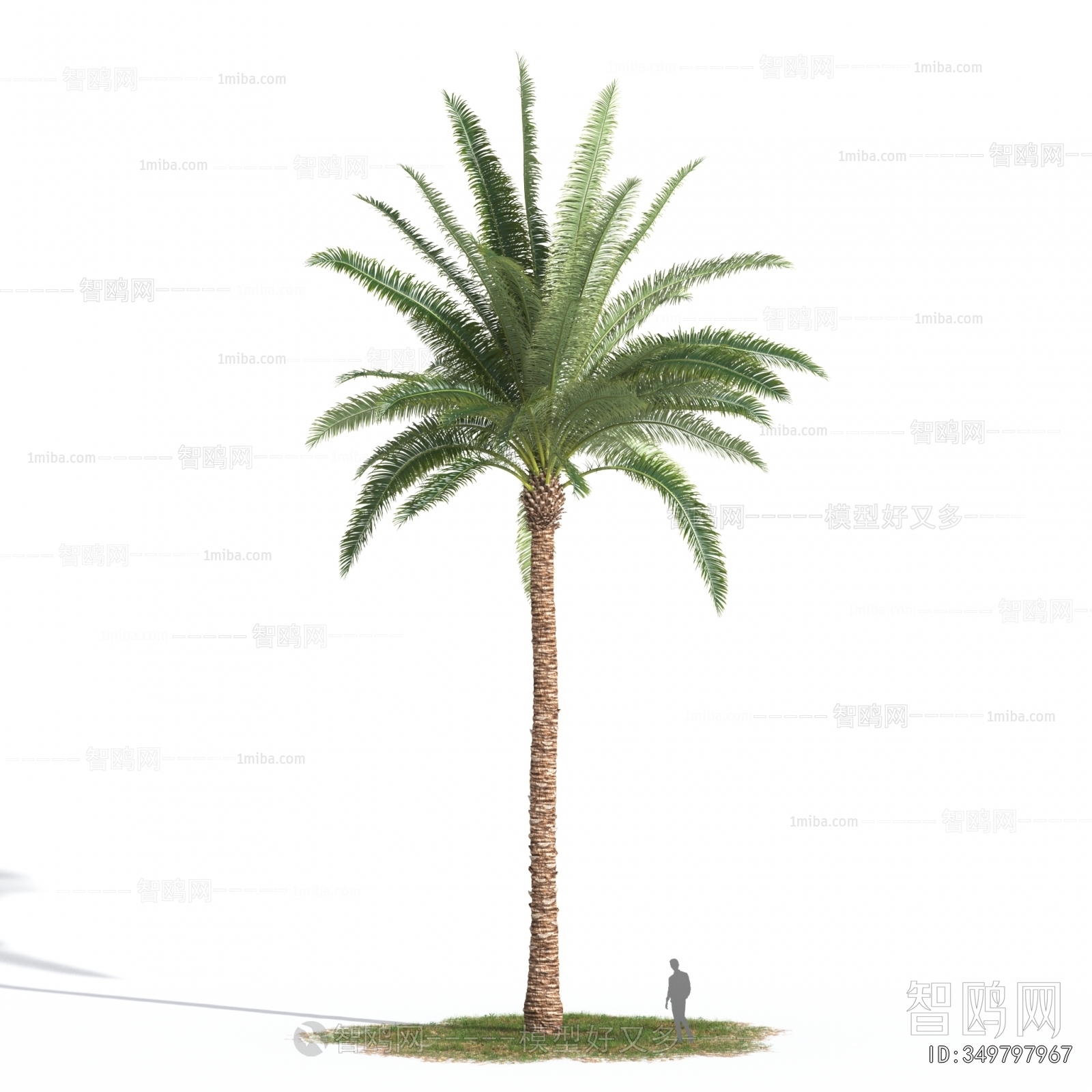 Modern Tree
