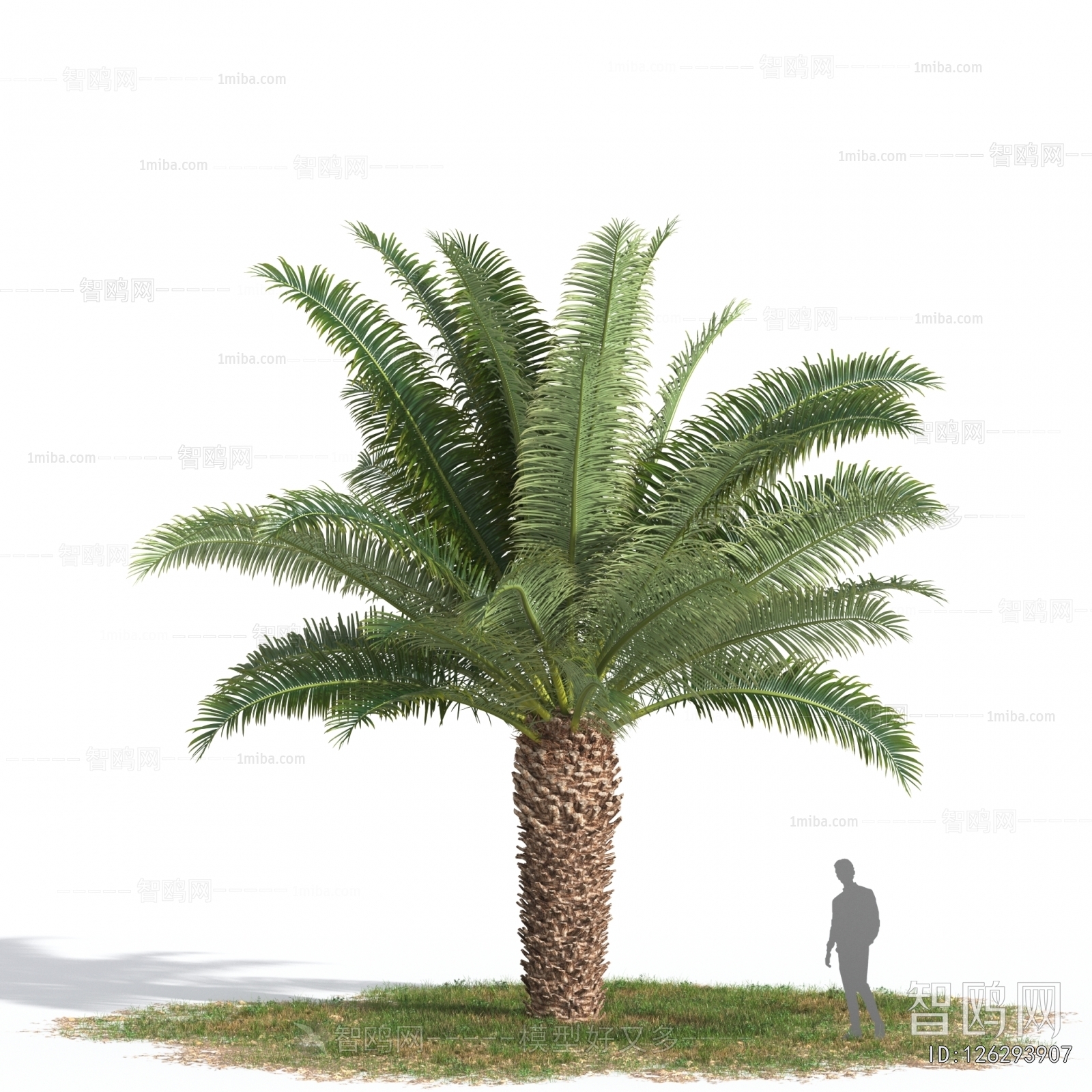 Modern Tree