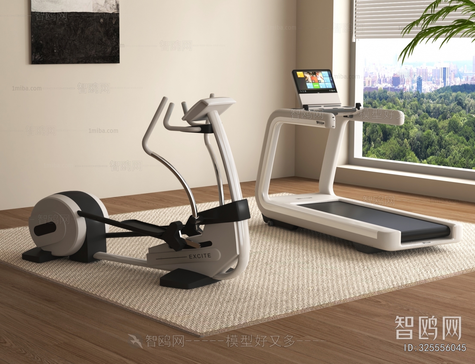 Modern Fitness Equipment