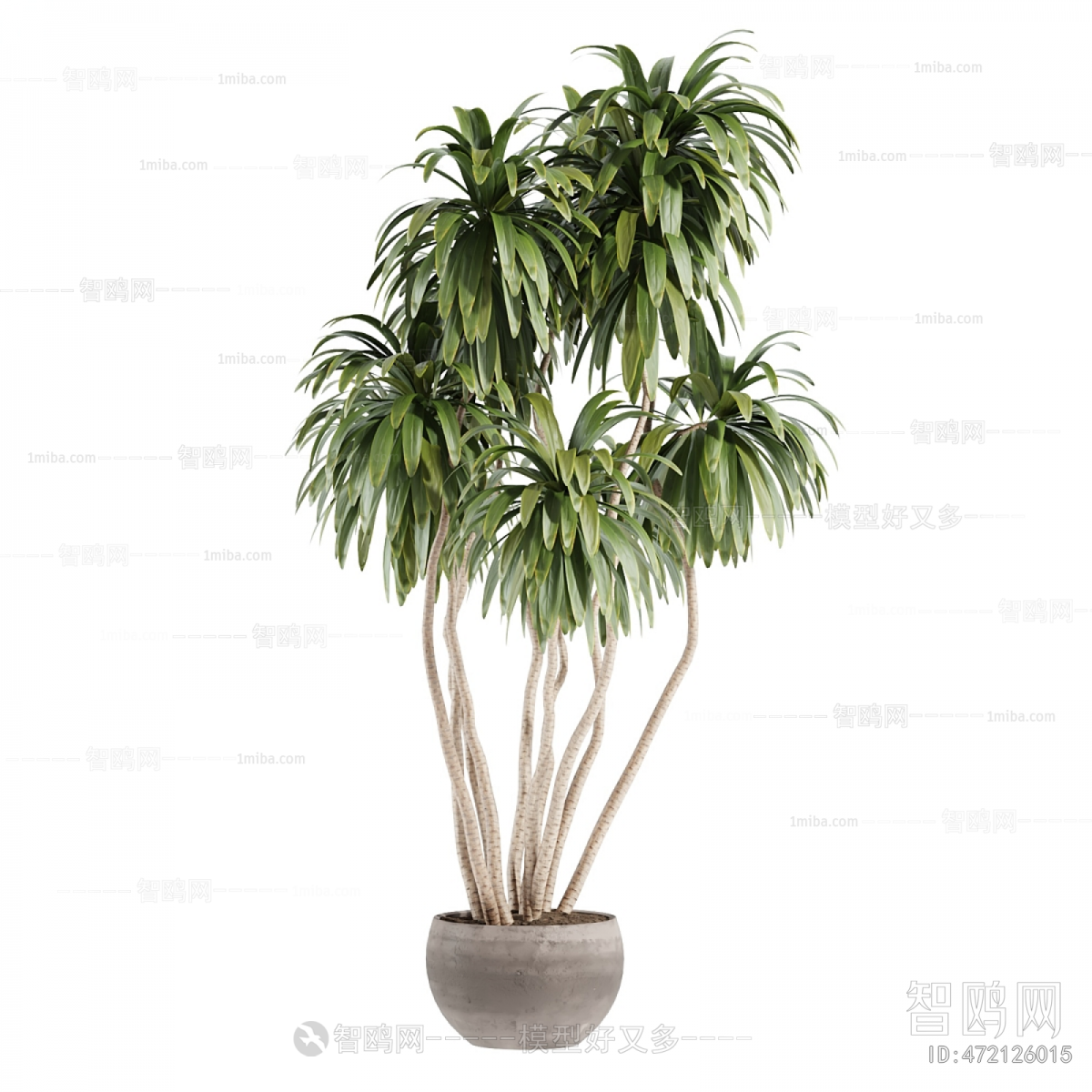 Modern Ground Green Plant Potted Plants