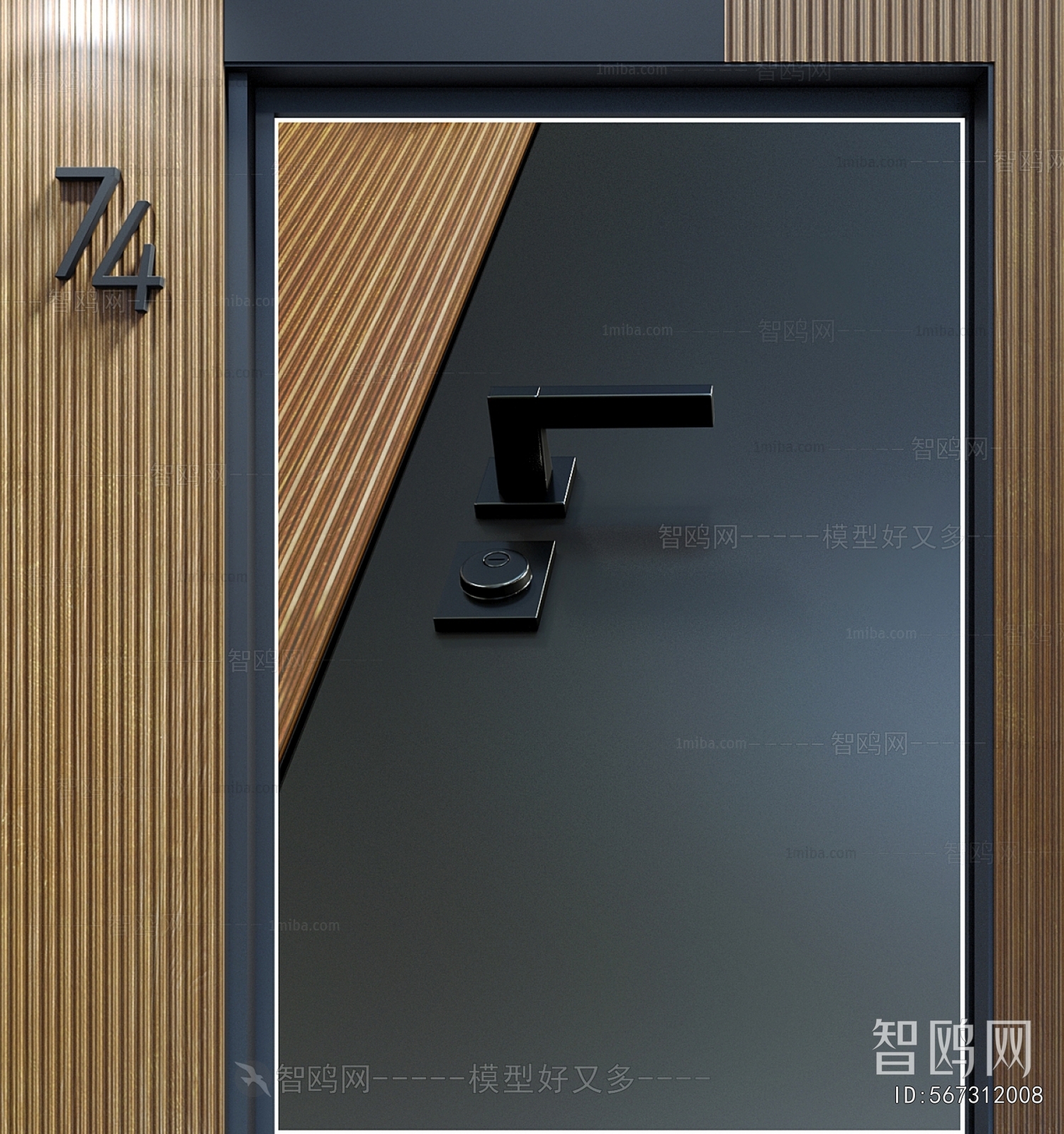 Modern Entrance Door