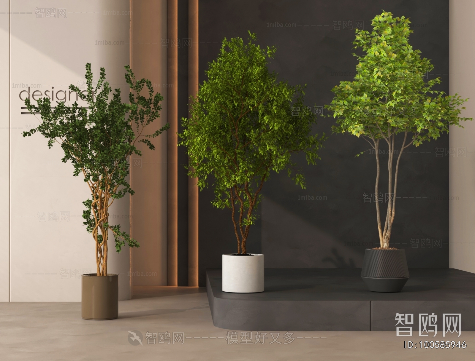 Modern Ground Green Plant Potted Plants