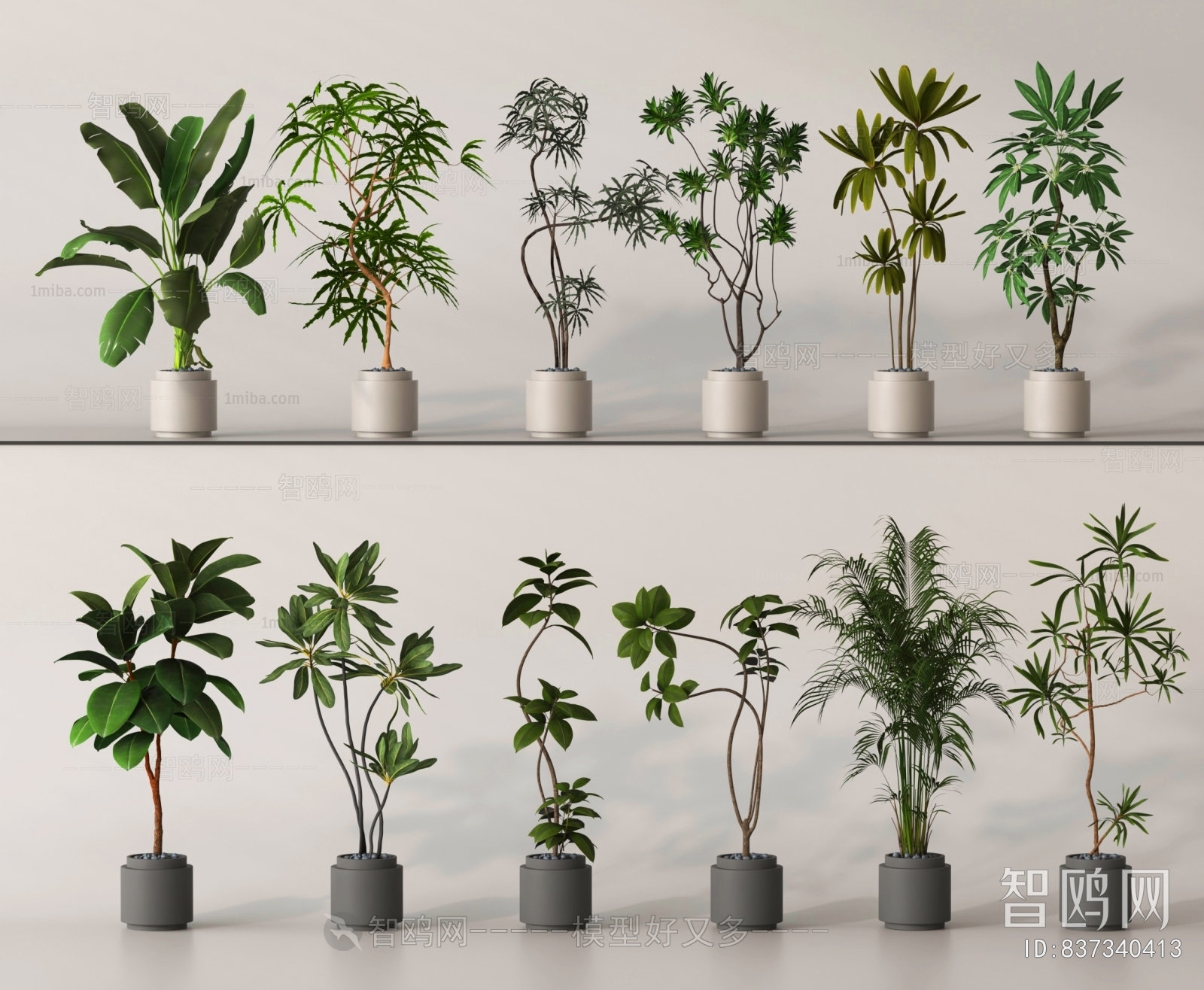 Modern Ground Green Plant Potted Plants