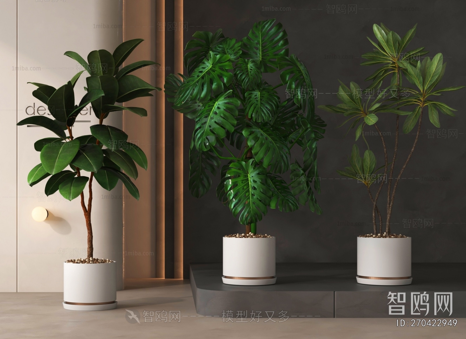 Modern Ground Green Plant Potted Plants