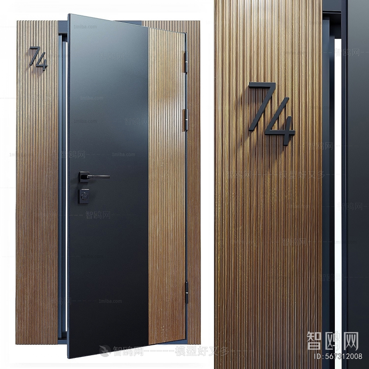 Modern Entrance Door