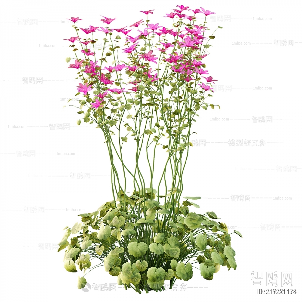 Modern Flowers And Grass