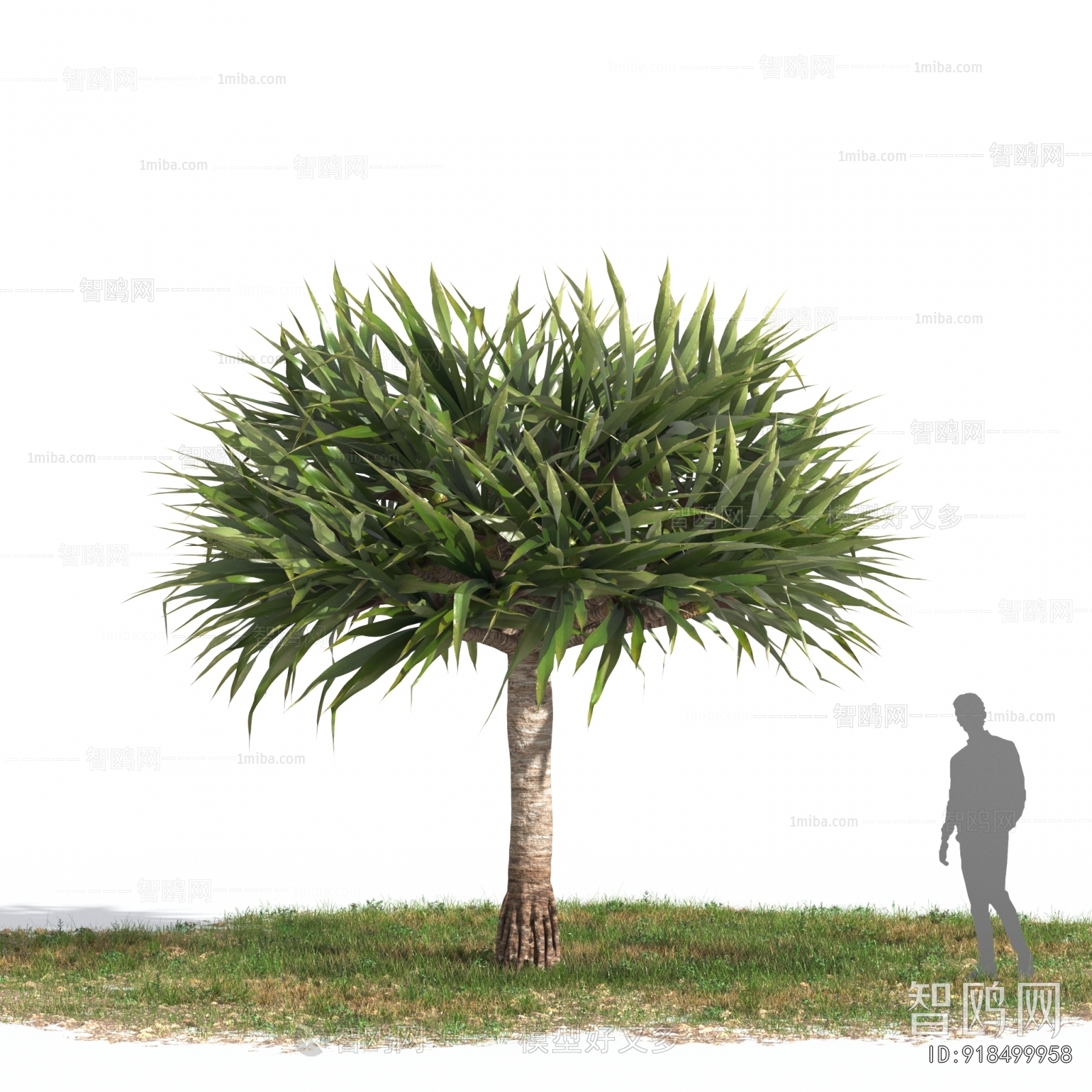 Modern Tree