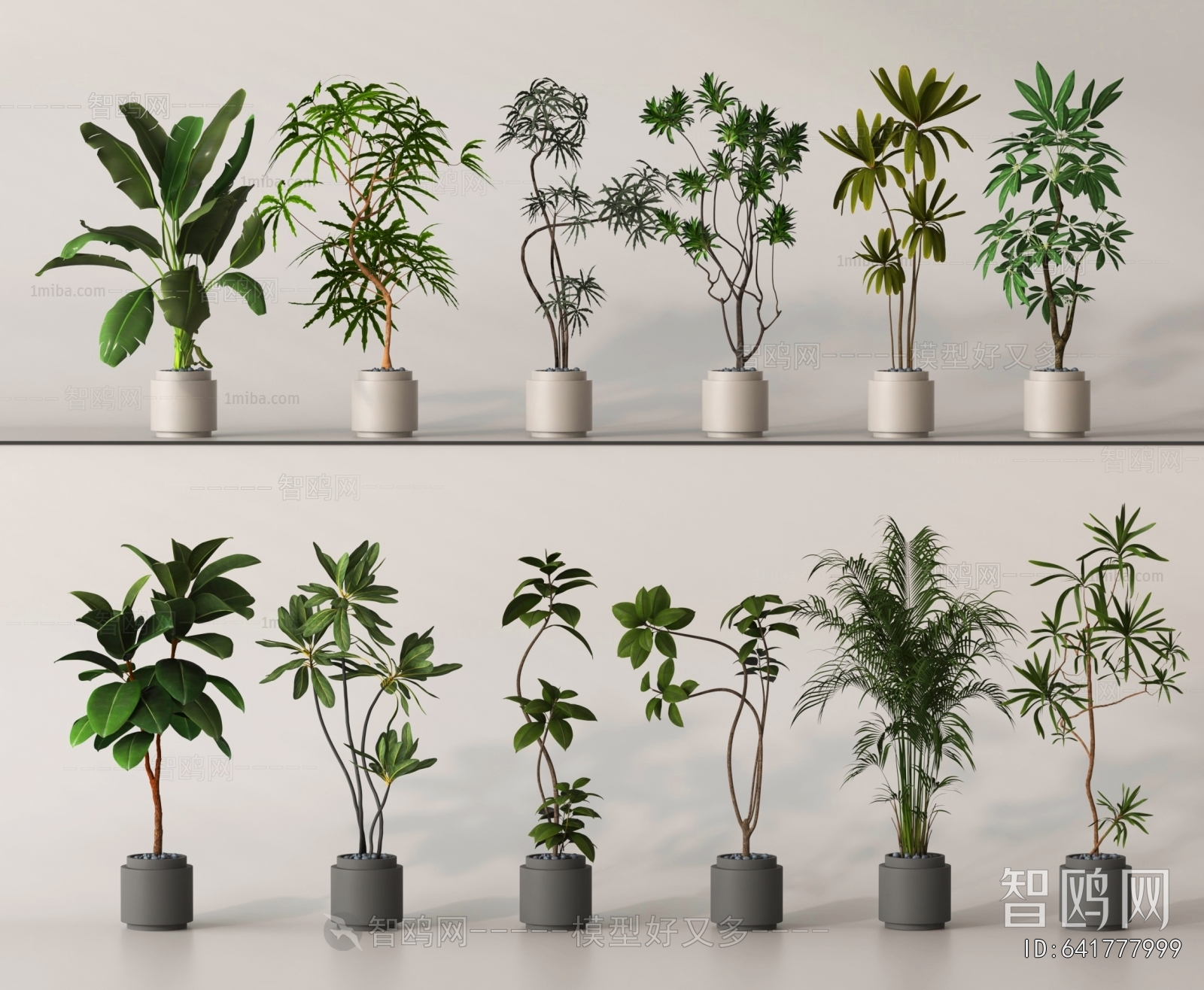 Modern Ground Green Plant Potted Plants