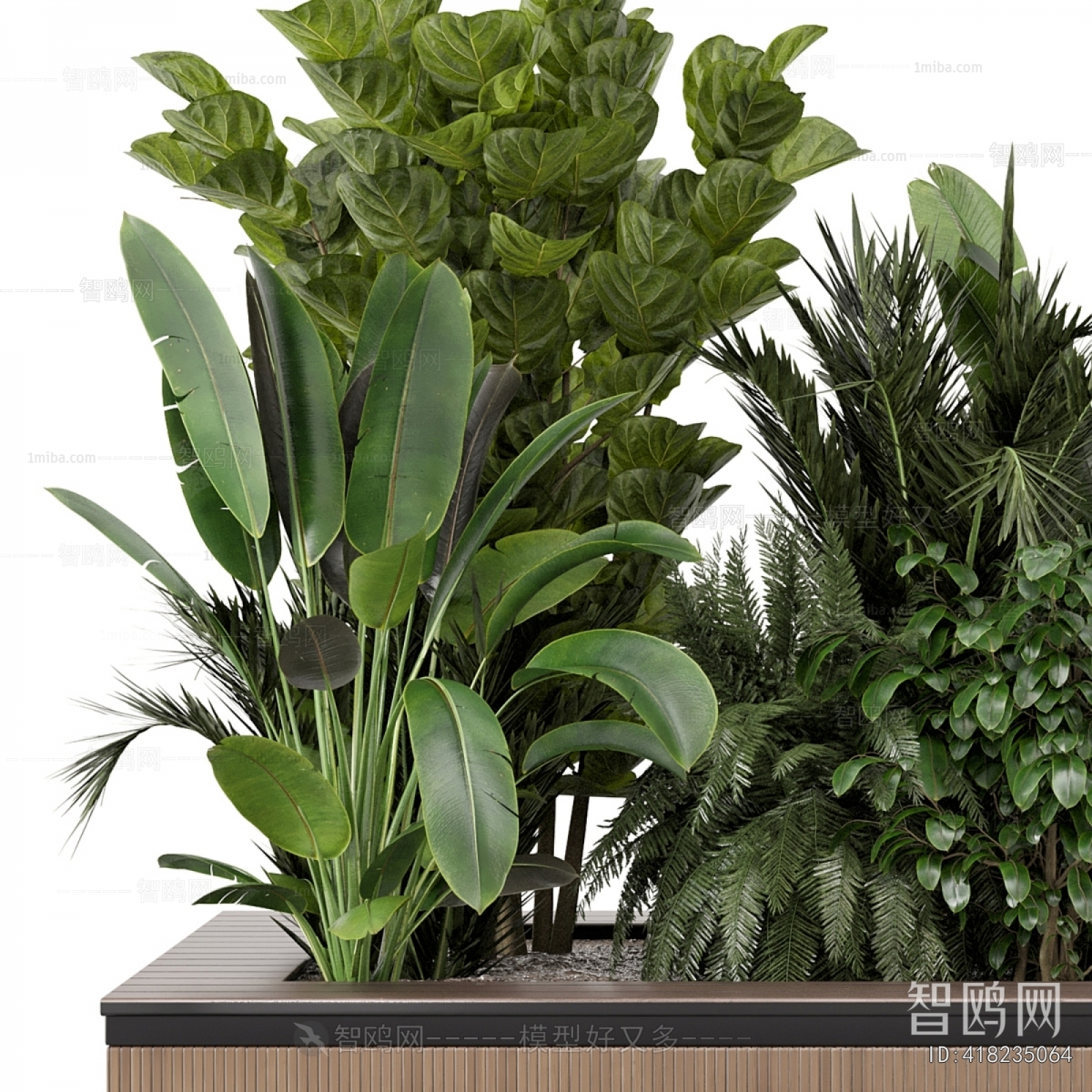 Modern Flower Bed, Flower Bowl, Flower Box