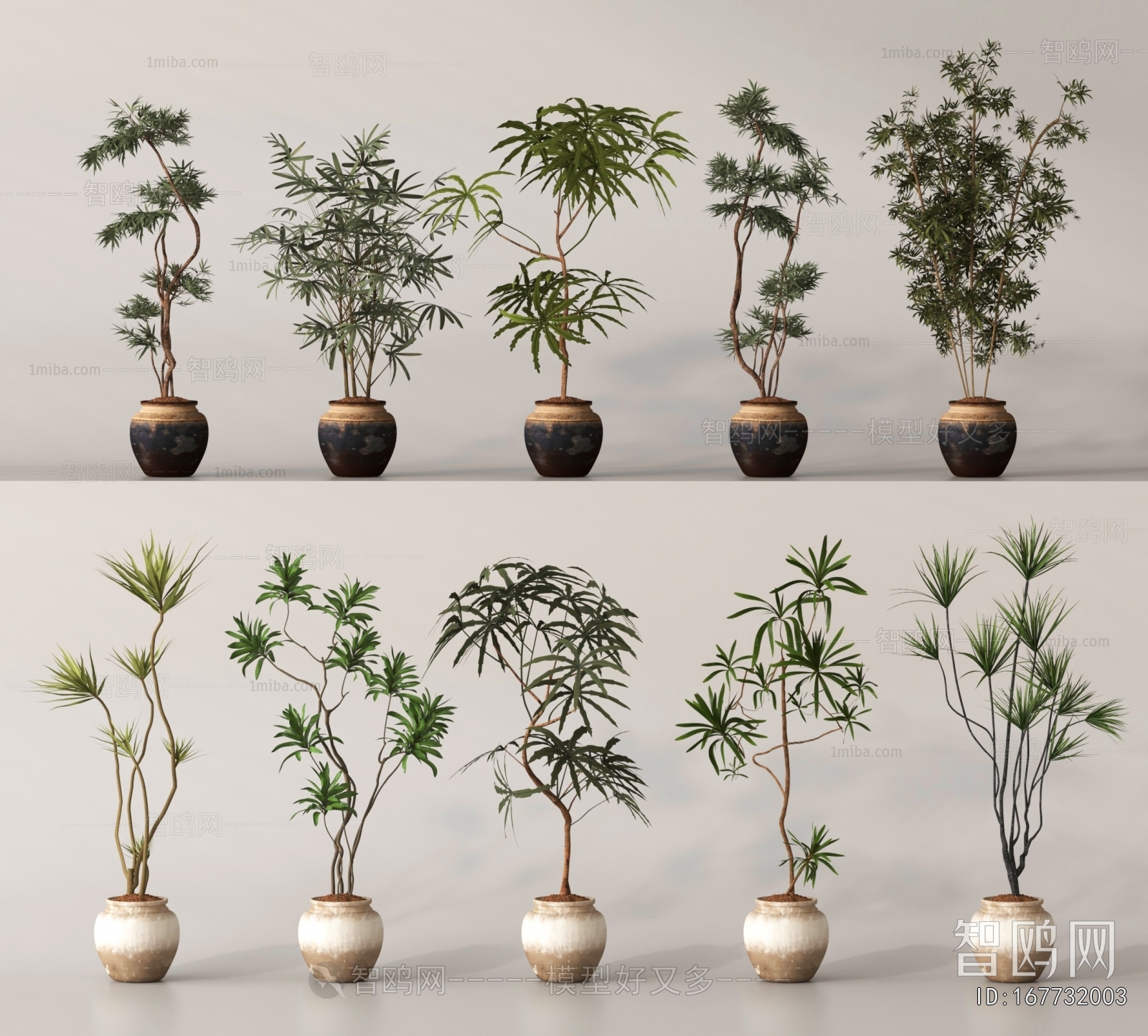 Modern Ground Green Plant Potted Plants