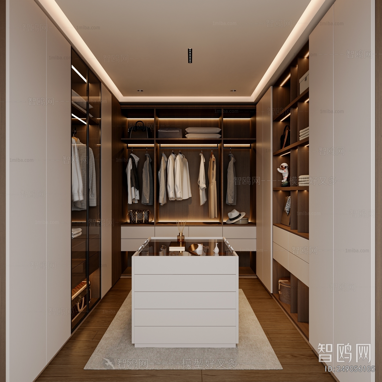 Modern Clothes Storage Area