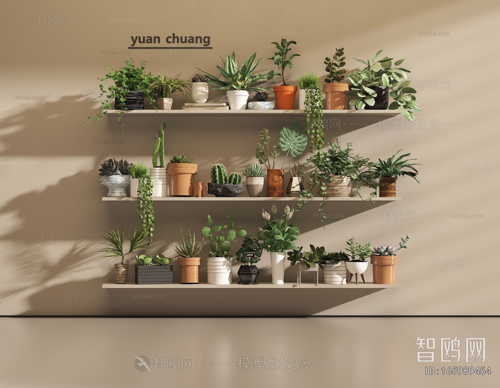 Modern Potted Green Plant