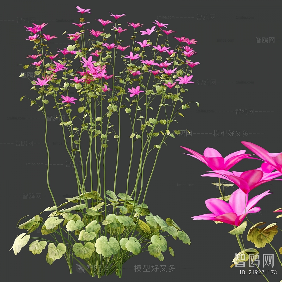 Modern Flowers And Grass