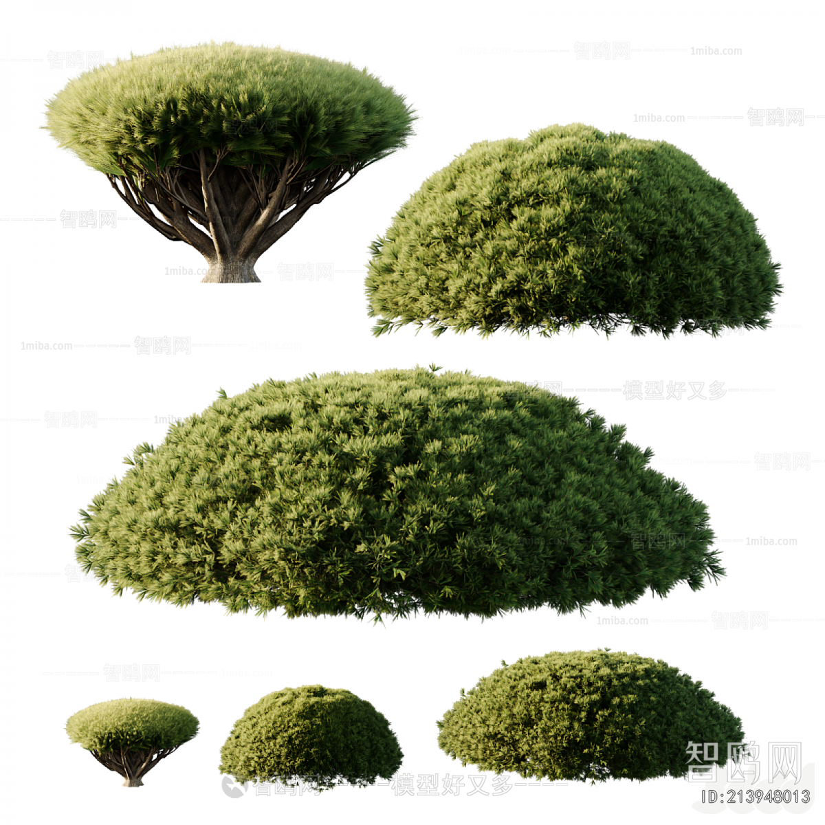Modern Shrubbery