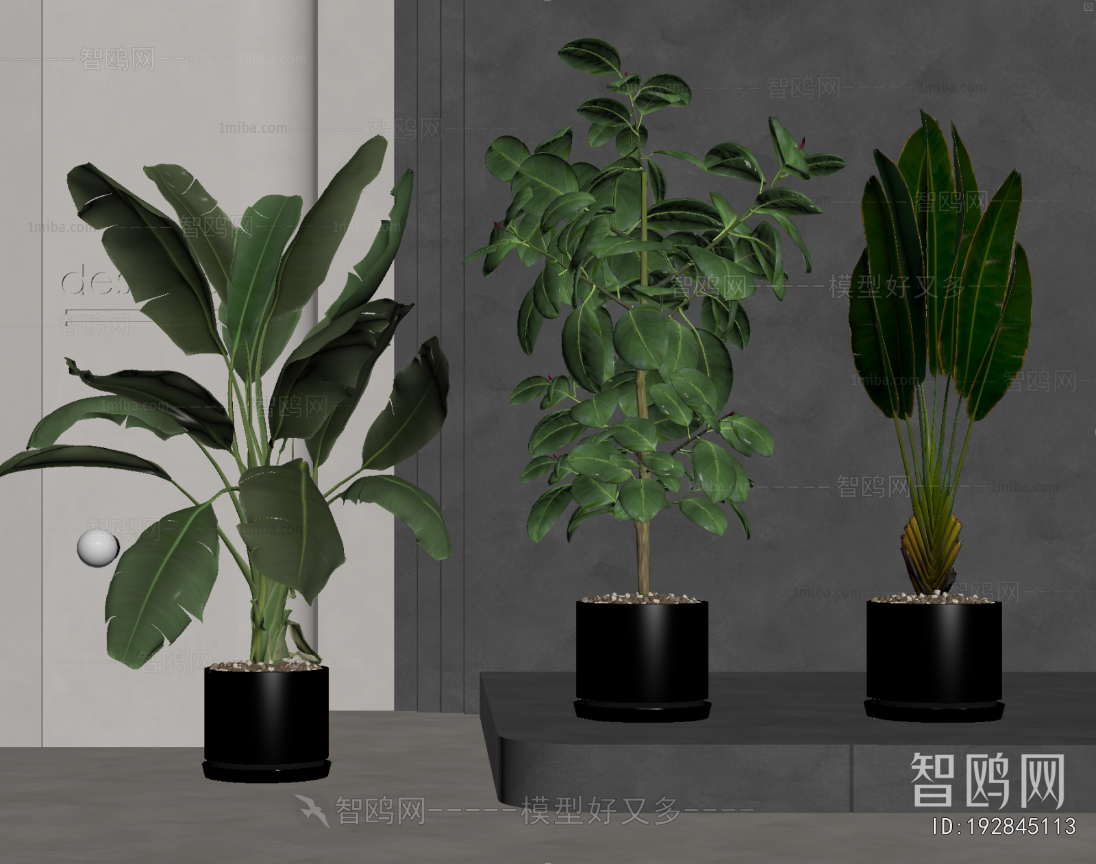 Modern Ground Green Plant Potted Plants