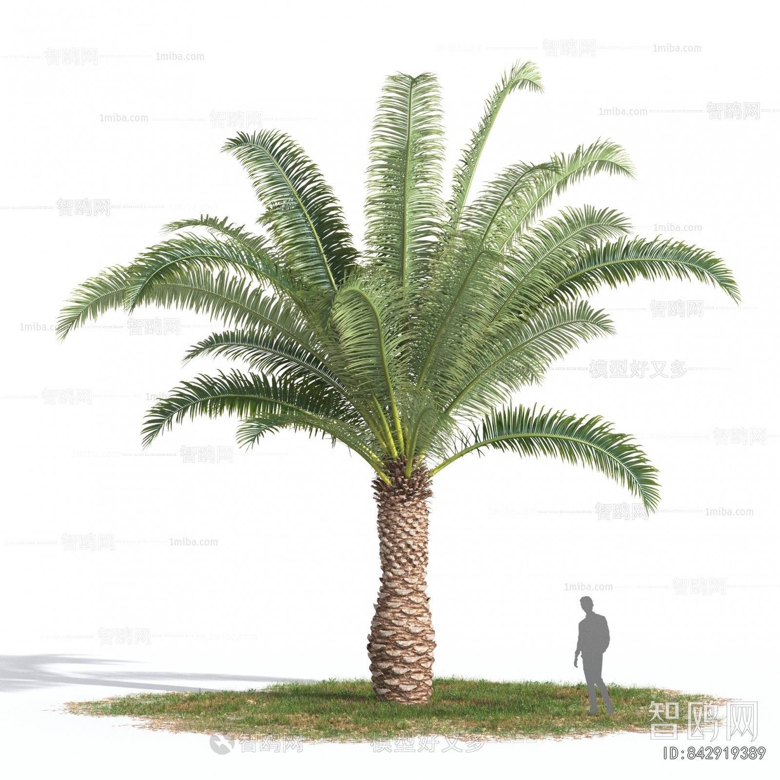 Modern Tree