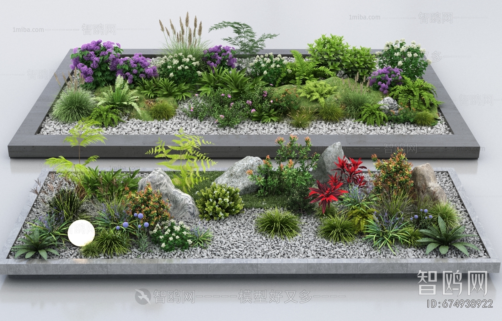 Modern Plant Landscaping