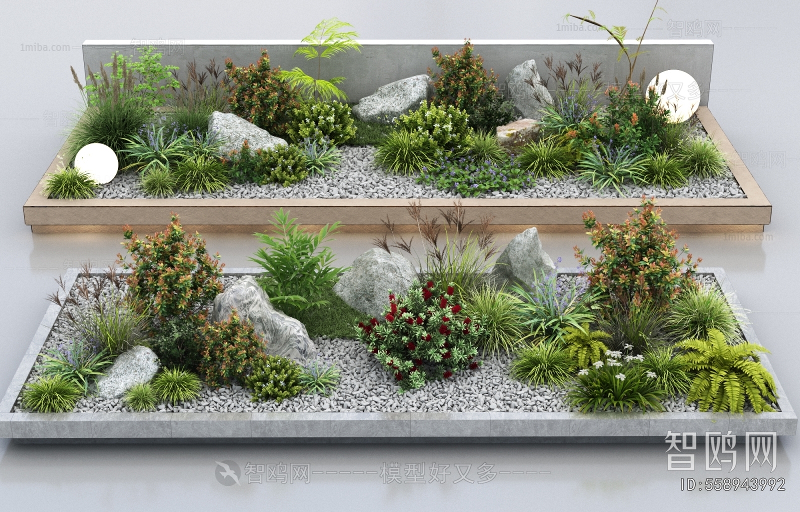 Modern Plant Landscaping