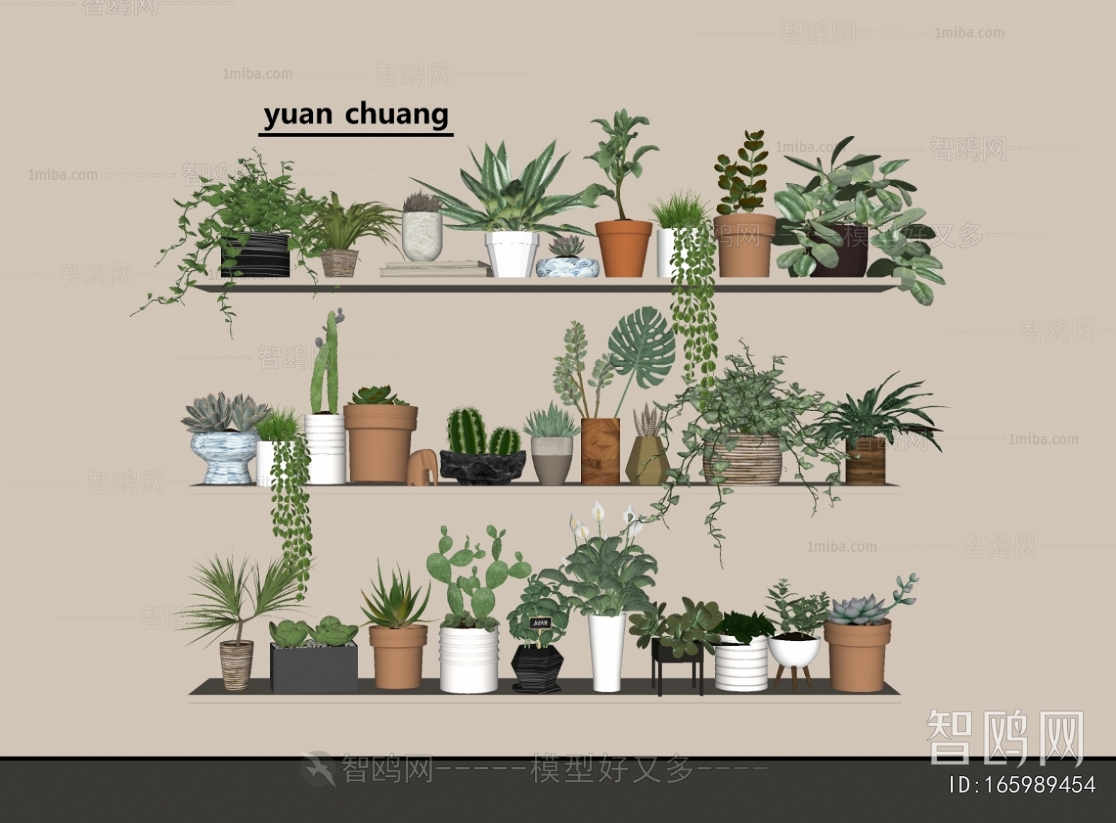 Modern Potted Green Plant