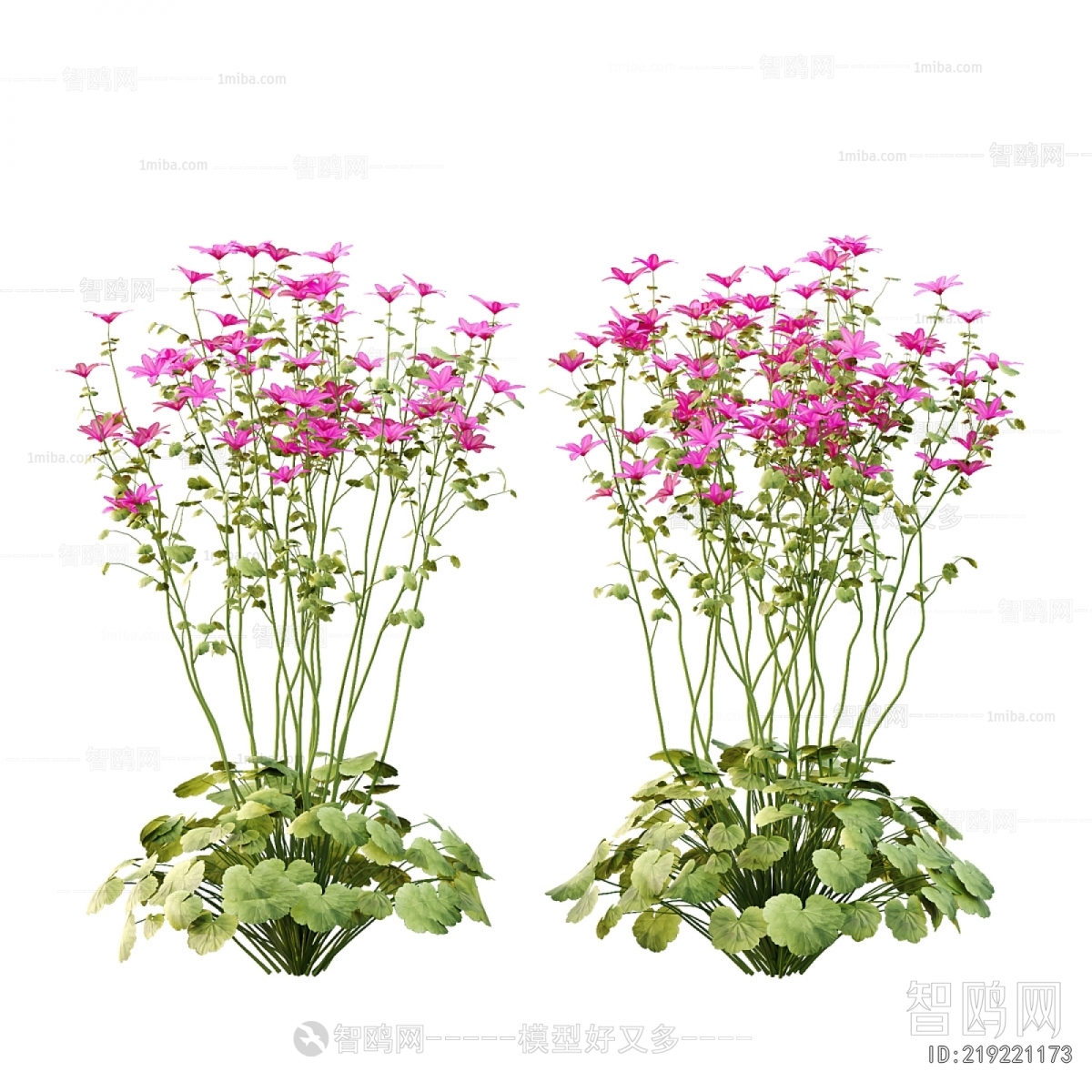 Modern Flowers And Grass