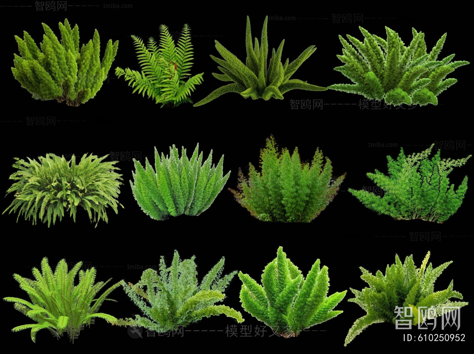 Modern Flowers And Grass