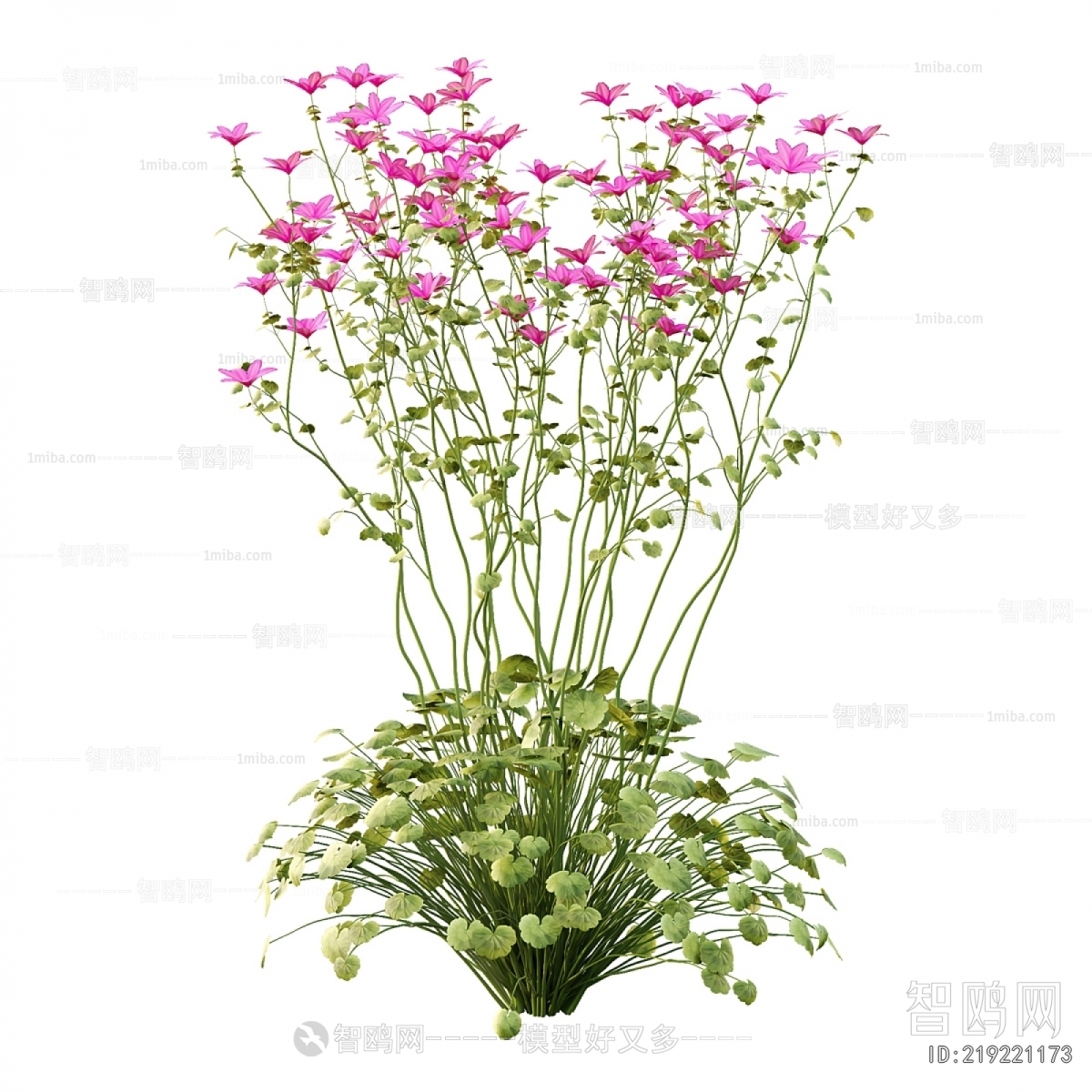 Modern Flowers And Grass