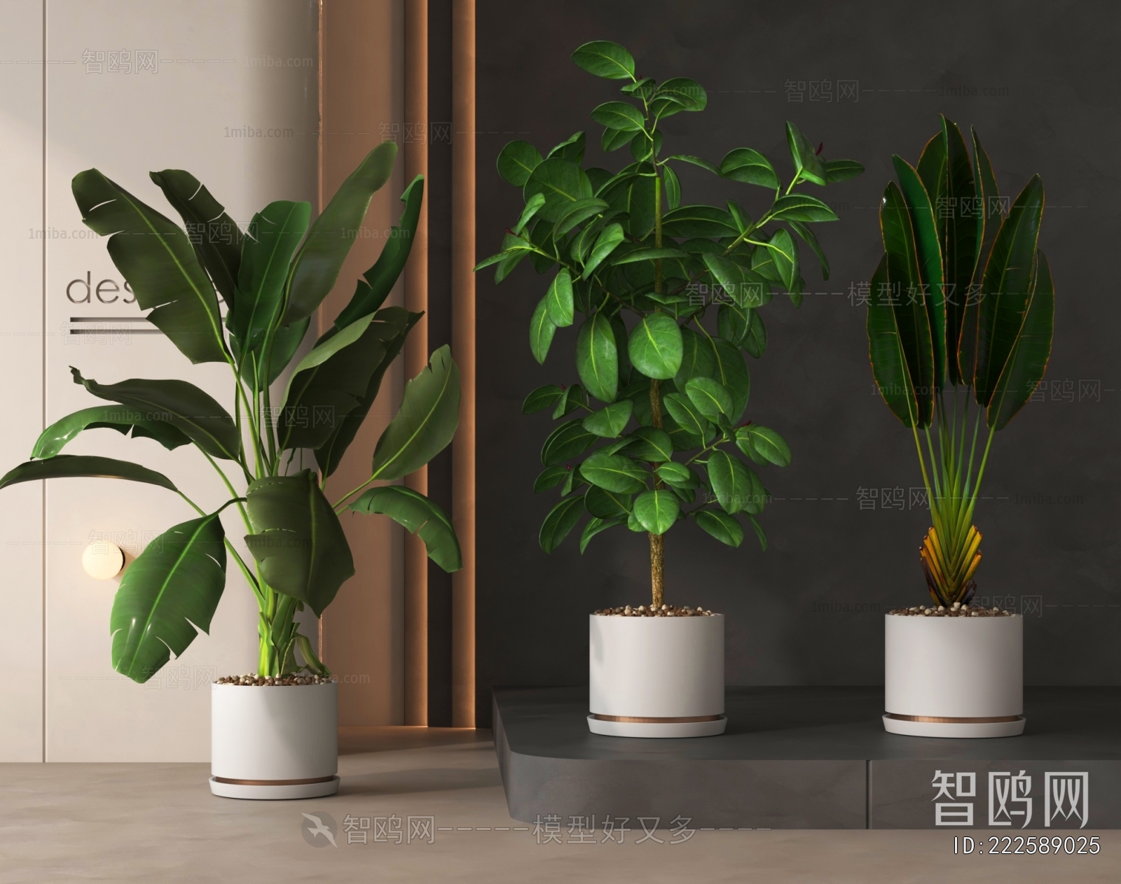 Modern Ground Green Plant Potted Plants