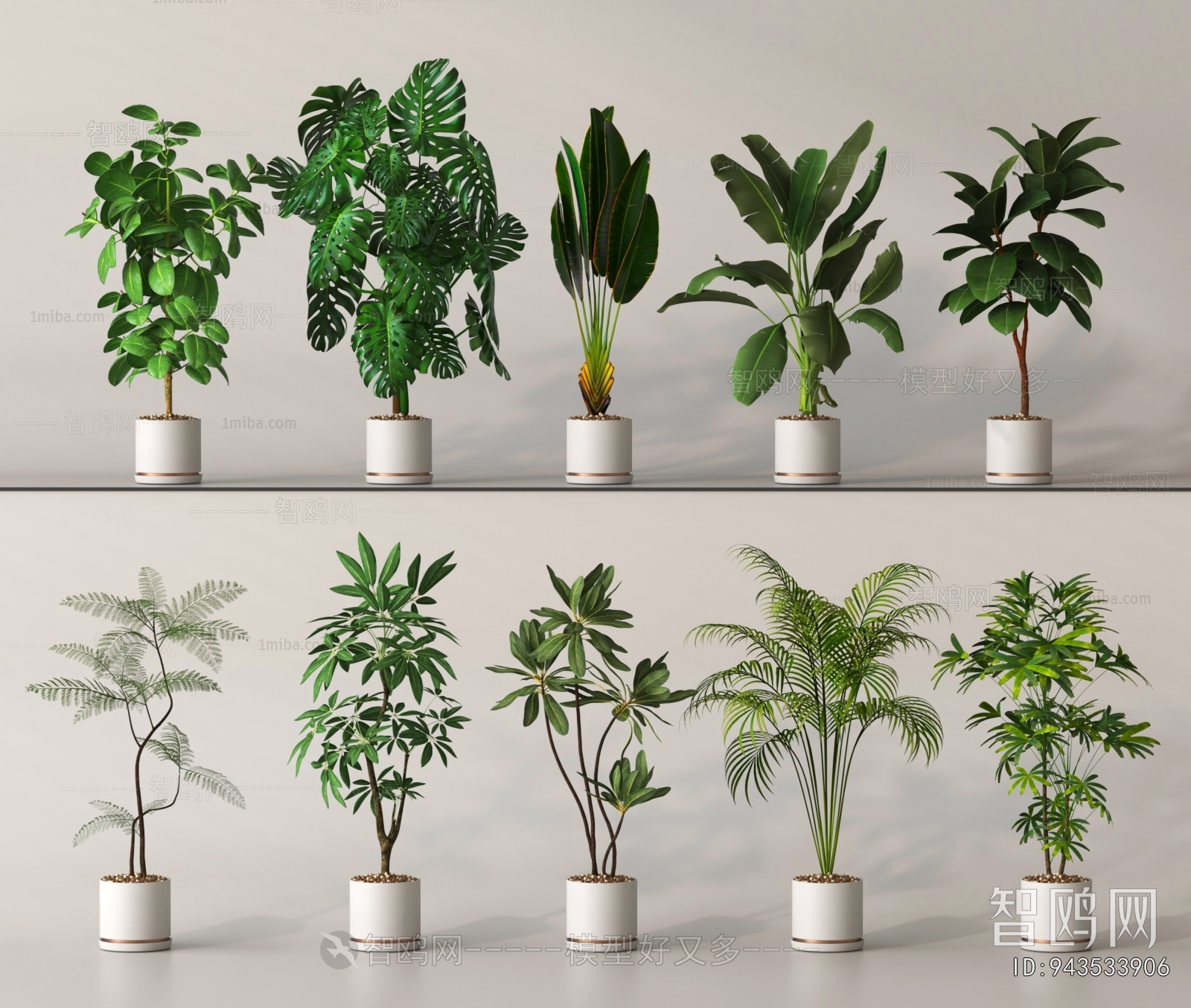Modern Ground Green Plant Potted Plants