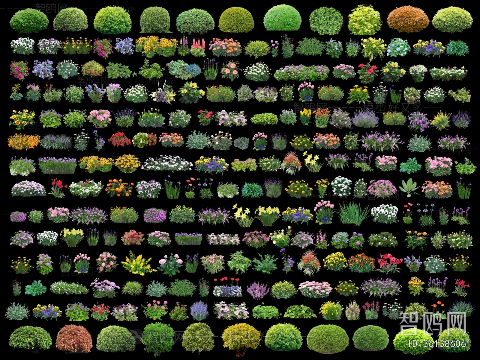 Modern Flowers And Grass