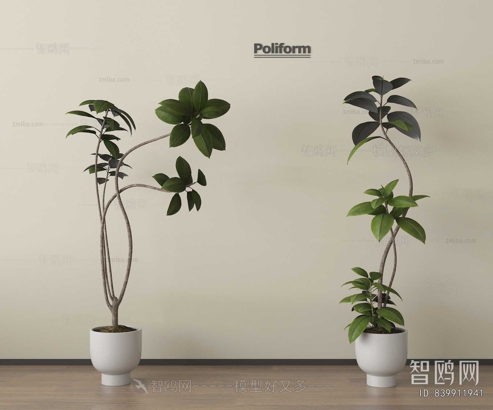 Modern Ground Green Plant Potted Plants
