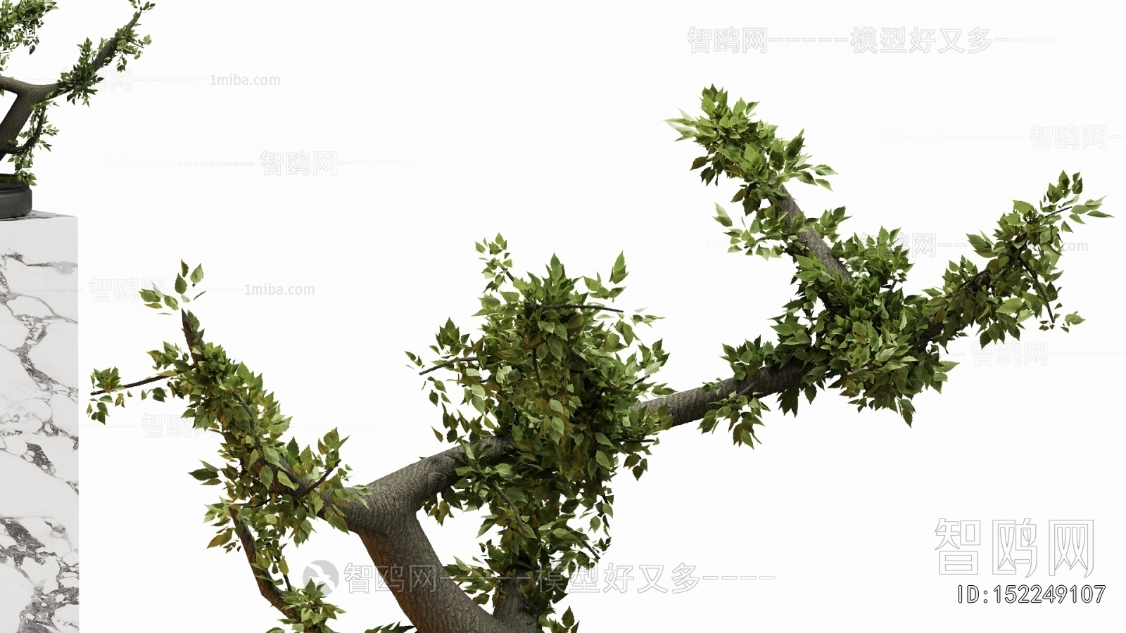 New Chinese Style Bonsai
