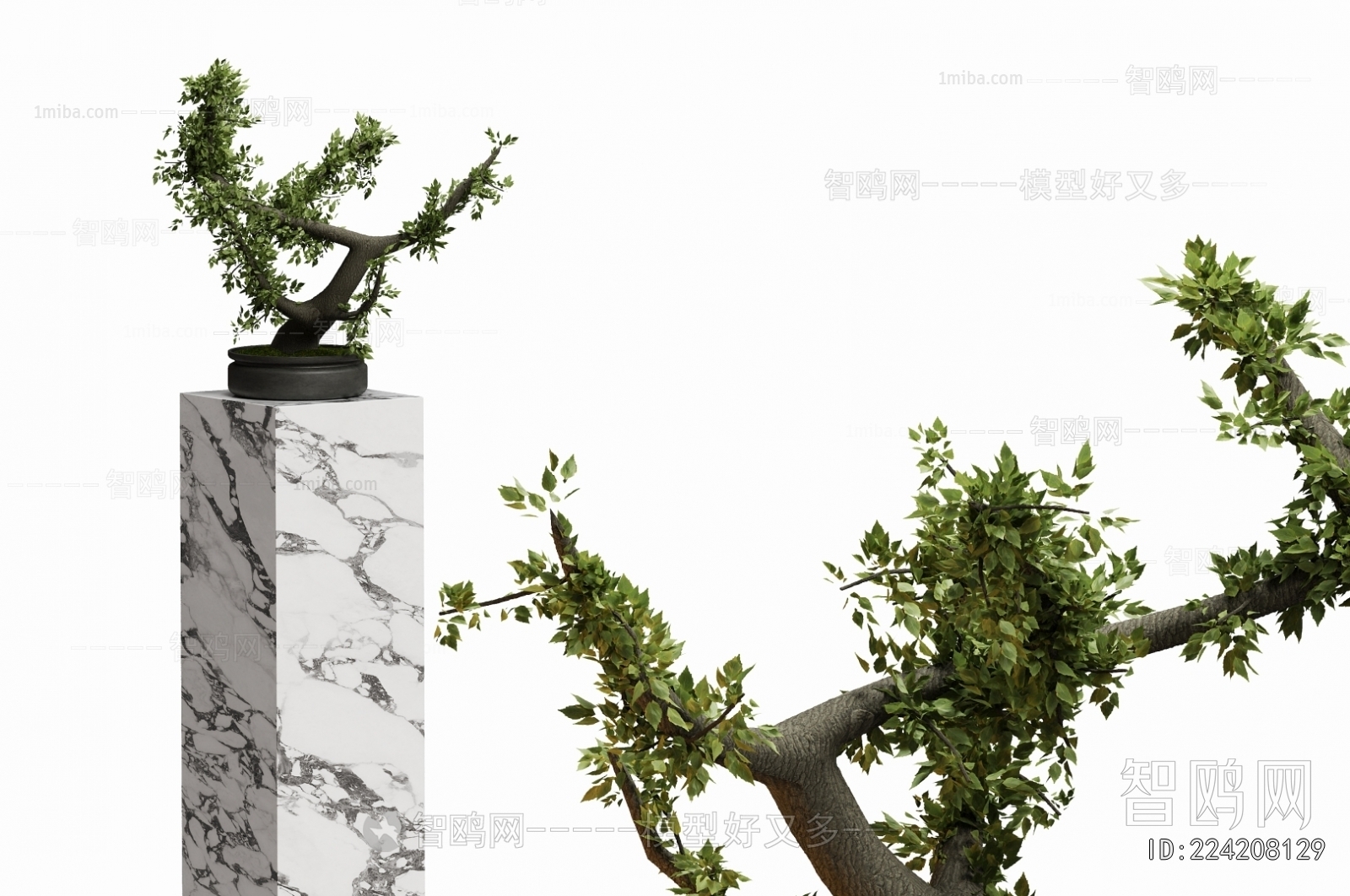 New Chinese Style Bonsai