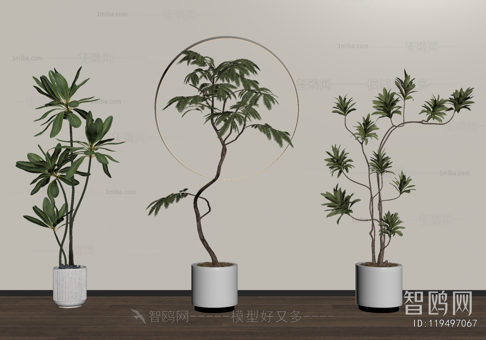 Modern Ground Green Plant Potted Plants