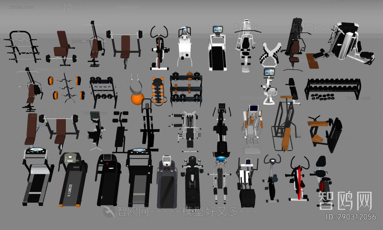 Modern Fitness Equipment