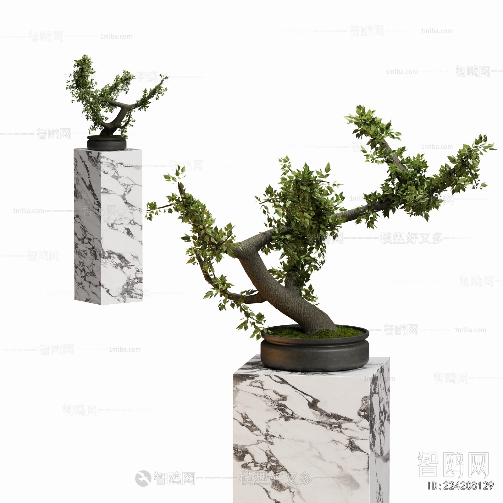 New Chinese Style Bonsai