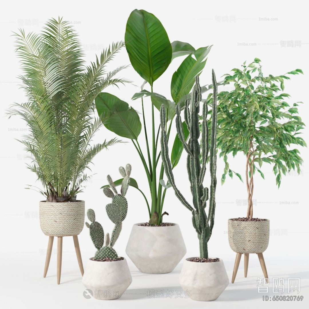 Modern Ground Green Plant Potted Plants