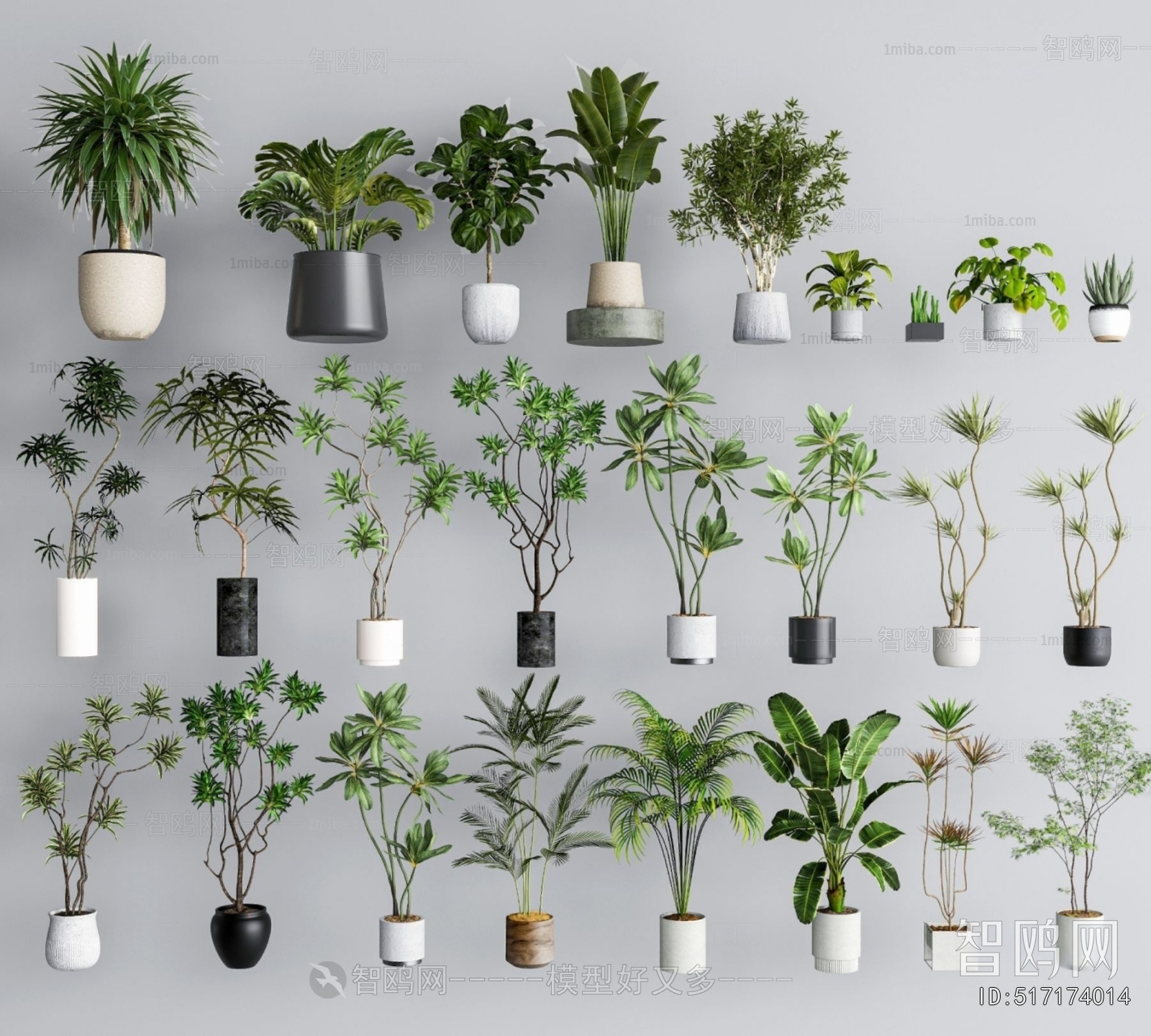 Modern Ground Green Plant Potted Plants