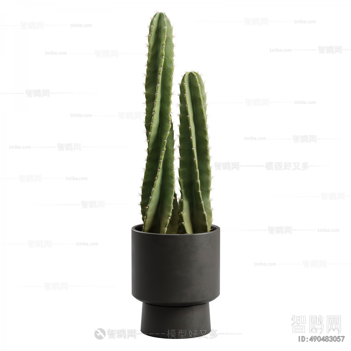 Modern Potted Green Plant