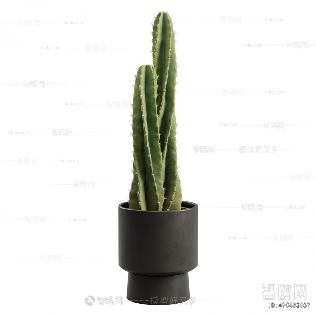 Modern Potted Green Plant