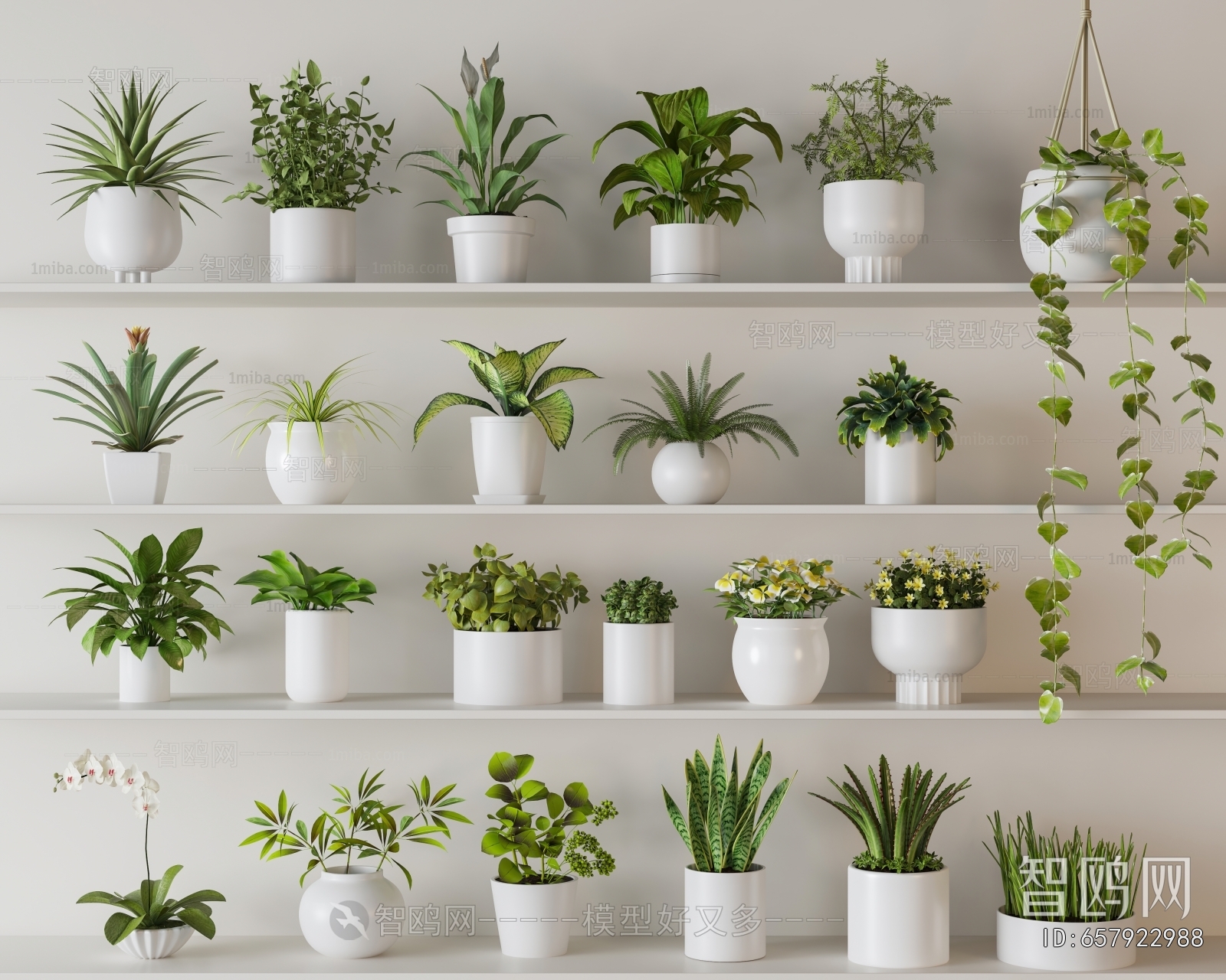 Modern Potted Green Plant