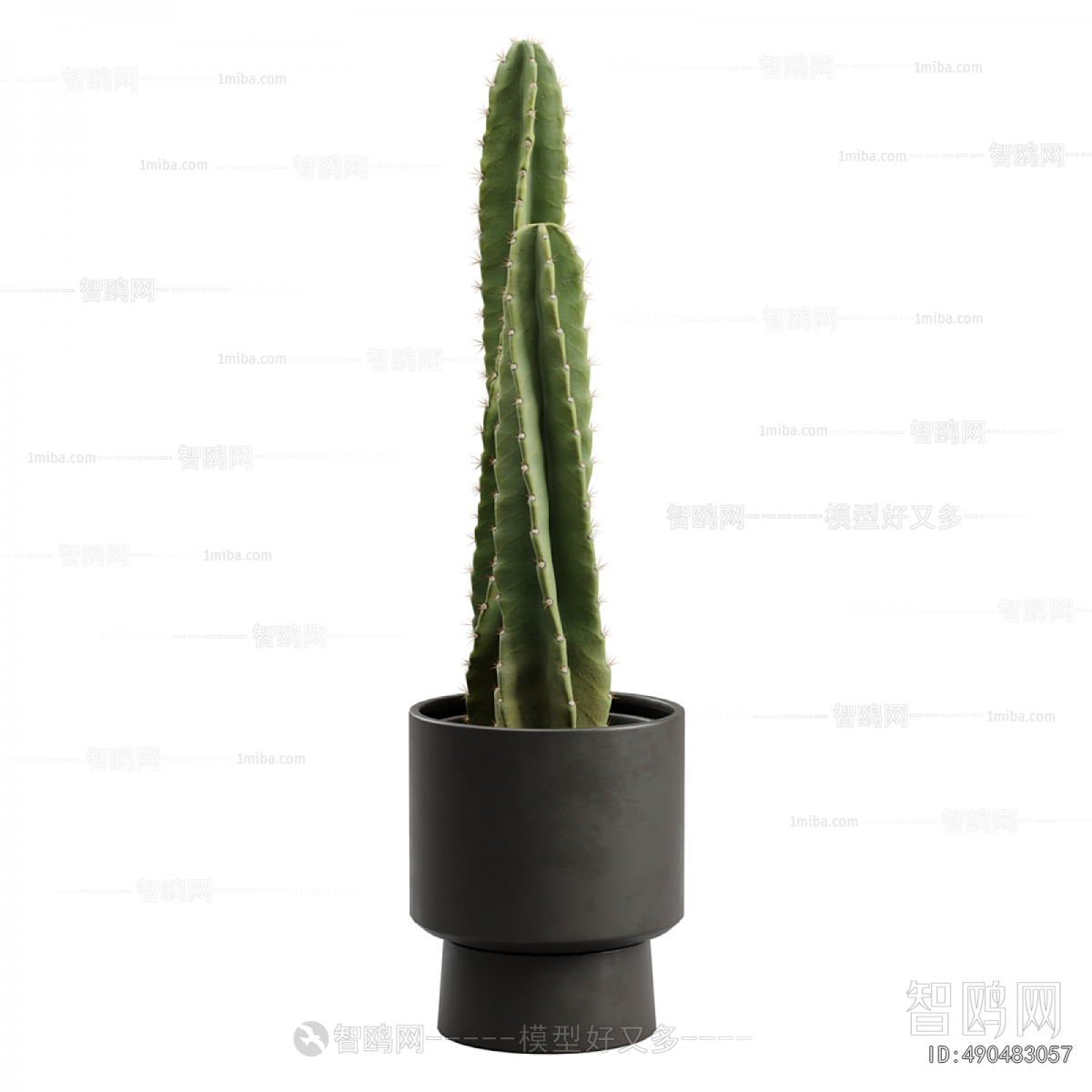 Modern Potted Green Plant