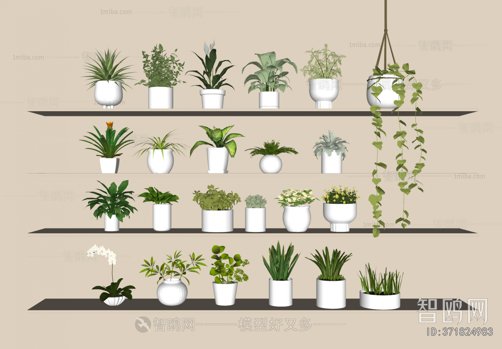 Modern Desktop Plant