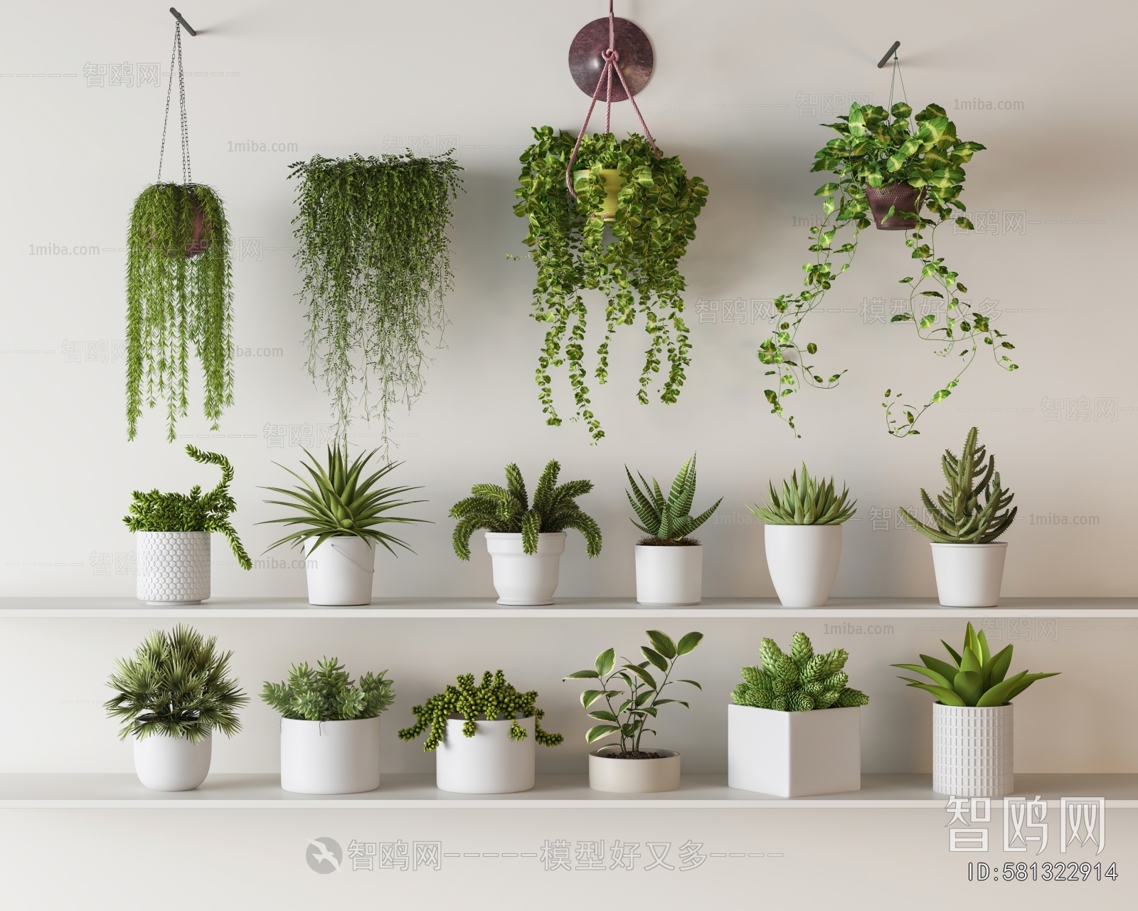 Modern Potted Green Plant