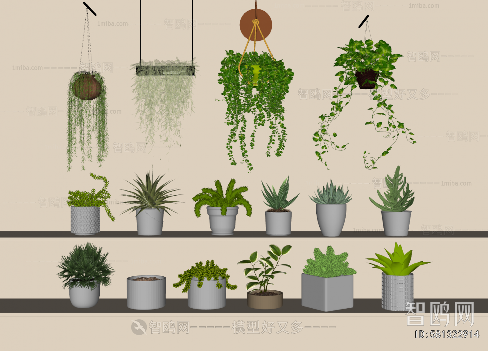 Modern Potted Green Plant