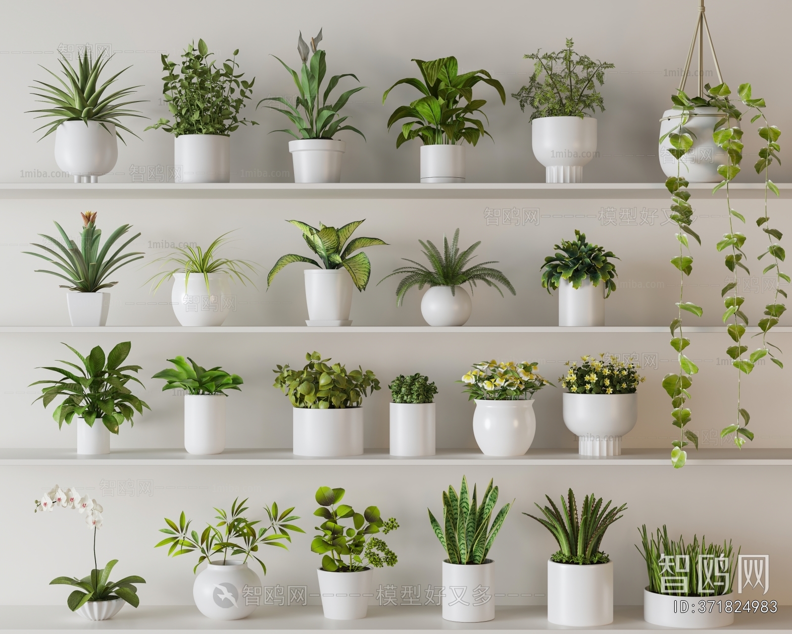 Modern Desktop Plant